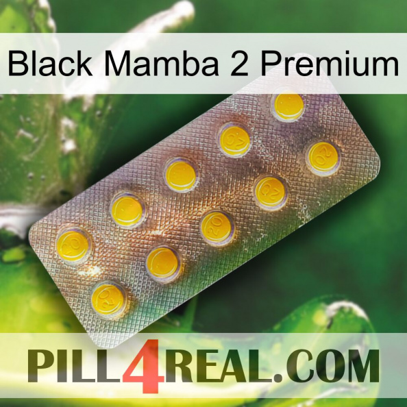 Black Mamba 2 Premium new11.jpg